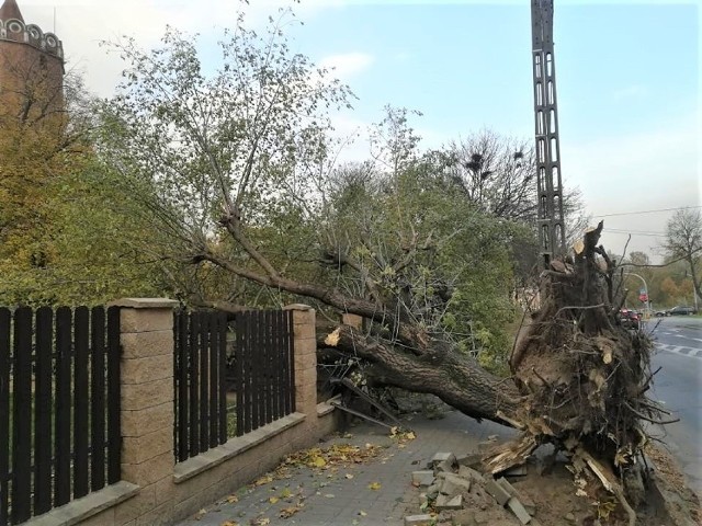 Wichura w powiecie łęczyckim. Połamane drzewa i zerwany dach