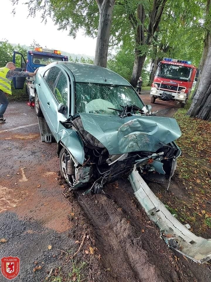 Wypadek na drodze wojewódzkiej nr 206. Auto osobowe uderzyło w drzewo ZDJĘCIA