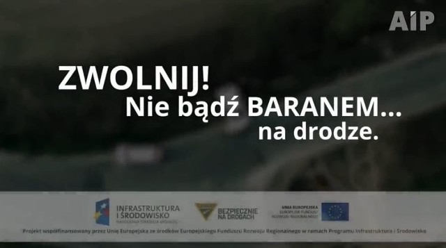 Kampanię "Bezpiecznie na drogach promuje klip "Zwolnij! Nie bądź baranem... na drodze"