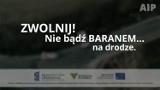 Nie bądź baranem na drodze! [WIDEO]