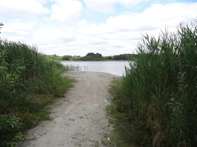 Piękna dzika plaża. Tutaj kiedyś była woda.