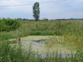 W wielu miejscach na terenie gminy Baranów woda nie chce zejść z pól, gdyż rowy melioracyjne są niedrożne.