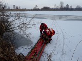 Psa, który wpadł do przerębla na zalewie w miejscowości Palonki ratowali buscy strażacy [ZDJĘCIA] 