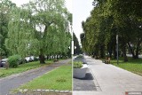 Zobacz, jak wygląda promenada w Oleśnie po modernizacji. Inwestycja kosztowała prawie 4,5 miliona zł [wideo, zdjęcia]