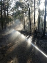 Pożar lasu po stronie niemieckiej, 30 kilometrów od Gubina. Walka z ogniem trwa już wiele dni