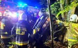 19-latek w BMW wylądował na drzewie w Leśniewie. Prawo jazdy miał zaledwie kilka dni. 16-letnia pasażerka trafiła do szpitala