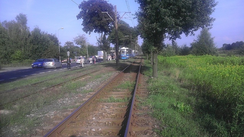 Wrocław: Korek tramwajowy w kierunku Leśnicy. Zepsuł się tramwaj linii 10 (ZDJĘCIA)