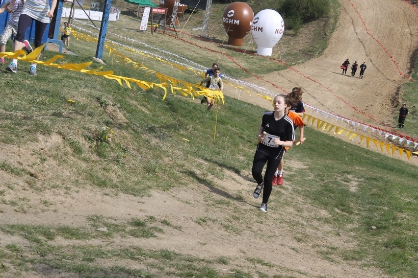 Cross Straceńców 2015. Sztafetowe Mistrzostwa Głogowa [Zdjęcia]