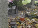 Kto pomoże posprzątać zabytkowy cmentarz w Opolu?