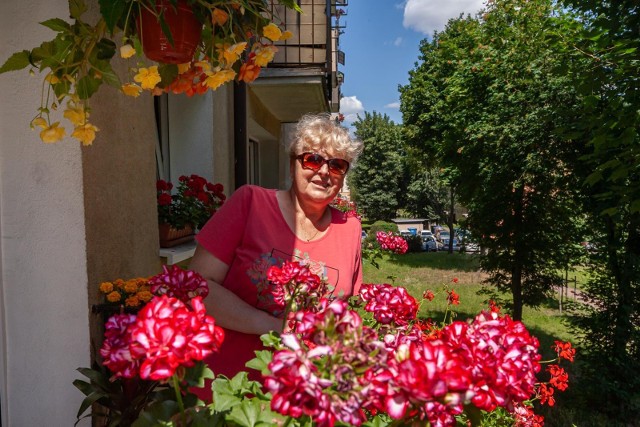 Ukochanymi kwiatami pani Lucyny Lipińskiej są pelargonie. Na jej ukwieconym balkonie to właśnie one stanowią podstawę kolorowej kompozycji.