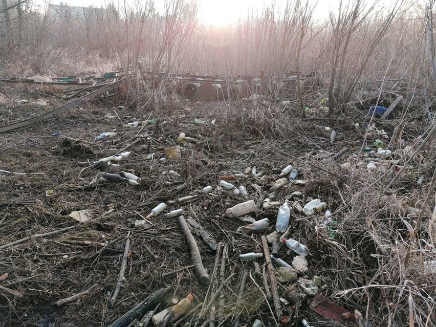 Sprzątanie brzegów Jeziora Żywieckiego. Zebrano aż 150 worków śmieci [ZDJĘCIA]