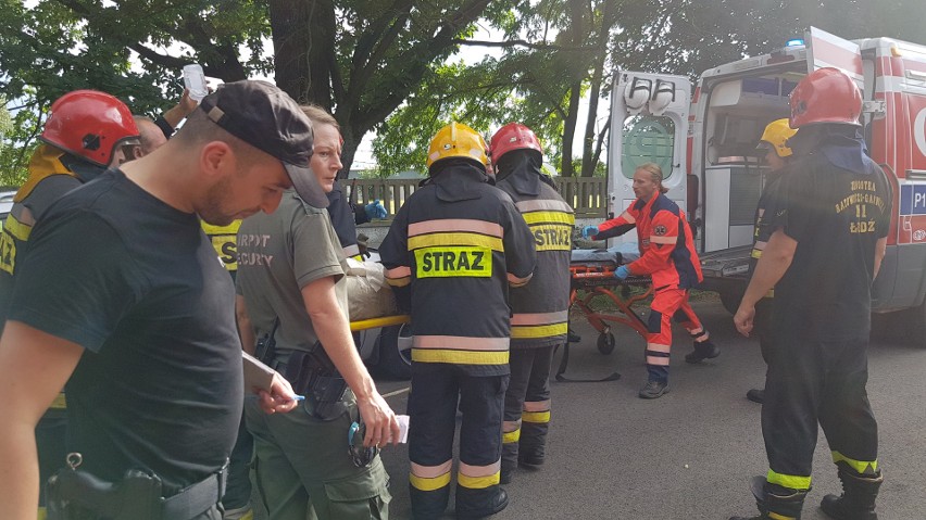 Katastrofa lotnicza w Łodzi. Ciężko ranny pilot po tym, jak...