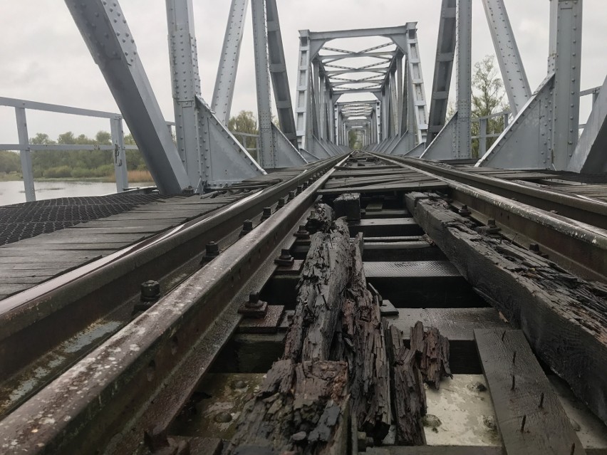 Siekierki: Poszukiwacz militariów natrafił na miejsce, gdzie zginęli żołnierze