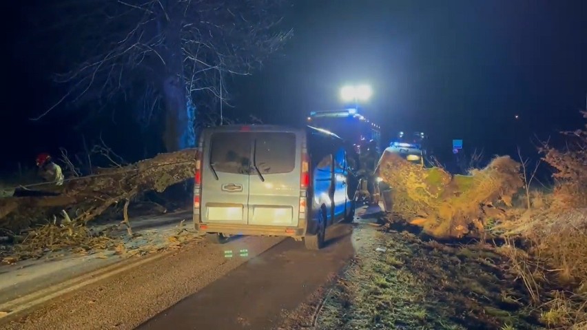 Tłuczewo (pow. wejherowski): Drzewo przygniotło samochód. Jedna osoba zginęła, a jedna trafiła do szpitala 30.01.2022