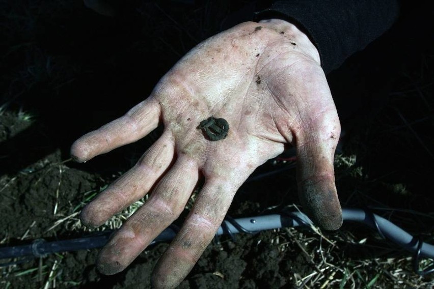 Poszukiwacze skarbów trafili na monety sprzed wieków [ZDJĘCIA]