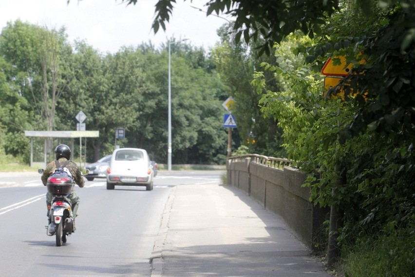 Wrocław: Drzewa i krzaki zasłaniają znaki drogowe. Drogowcy proszą o pomoc (ZDJĘCIA)