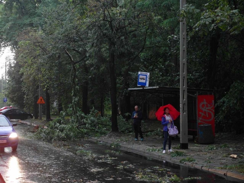 Burza w Łodzi. Nawałnica nad Łodzią. Powalone drzewa, gałęzie na drogach, zalane ulice [ZDJĘCIA]