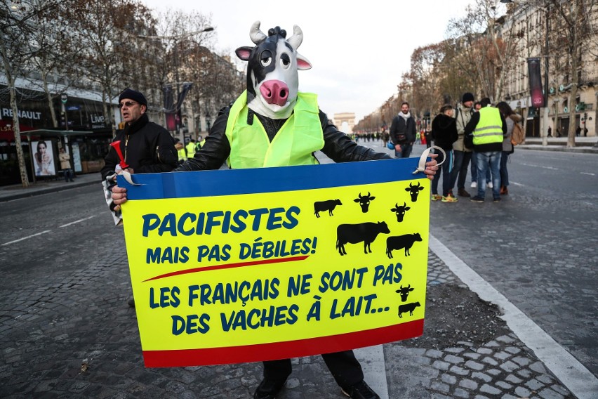 Francja: Zamieszki w Paryżu 8.12 ZDJĘCIA Protesty "żółtych kamizelek". Bilans: 260 rannych, 1700 zatrzymanych. Ile osób protestowało?