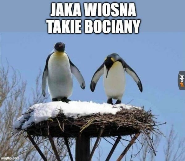 20 marca zawita do nas tak długo wyczekiwana wiosna. Ale czy na pewno pogoda zrobi się wiosenna? Temat wiosny jest bardzo dyskusyjny, bo często bardziej przypomina zimę. Na temat wiosny powstało mnóstwo memów. Zobaczcie najlepsze z nich. >>>ZOBACZ WIĘCEJ NA KOLEJNYCH SLAJDACH