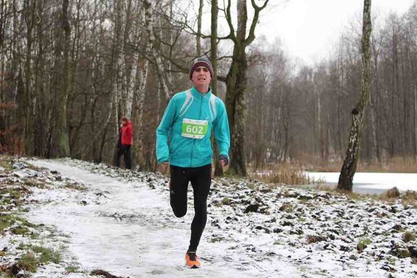 City Trail Katowice Giszowiec 4.1.2015