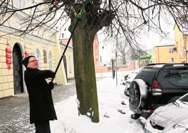 Gałęzie starego, rosnącego przed wejściem do urzędu drzewa przeszkadzały sejnianom. Burmistrz zrobił z tym porządek.