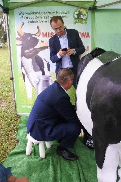W pół minuty wydoił 2 litry mleka - wyniki Mistrzostw w Dojeniu Sztucznej Krowy w Kuleszach Kościelnych 