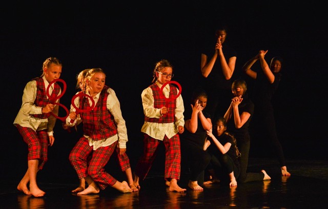 Z okazji Międzynarodowego Dnia Tańca na scenie Młodzieżowego Domu Kultury  można było zobaczyć różne style taneczne, które zaprezentowały zespoły działające w  MDK: Teatr Tańca AKRO, Ceinat, Psotki i Śmieszki,  oraz zaproszeni goście: Hulaj Noga z Domu Harcerza i Mini Mix ze Szkoły Podstawowej nr 10.