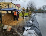 Wysoka woda coraz groźniejsza. W Trzcielu strażacy usypali tymczasowy wał przeciwpowodziowy. Obra występuje z brzegów