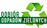 Zbiórka odpadów zielonych w gminie Kołczygłowy 