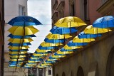 Tarnów. Kultowe parasolki na ulicy Piekarskiej wywołały kontrowersje. Powodem barwy [ZDJĘCIA]