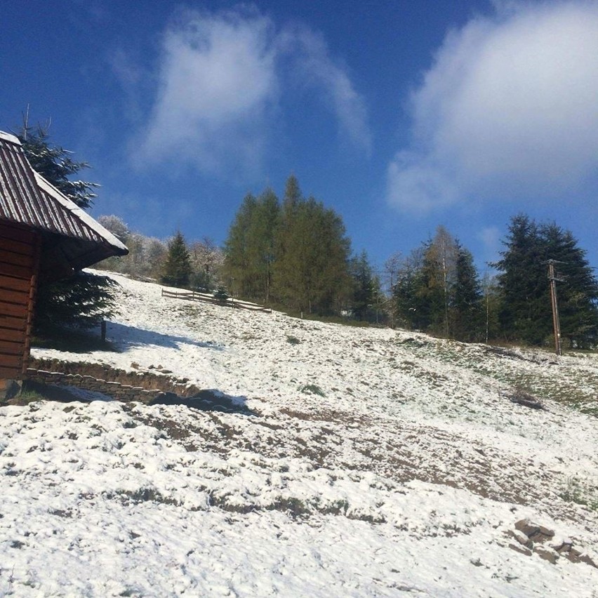 Zima w Beskidach - Żywiecczyzna oprószona śniegiem [ZDJĘCIA]