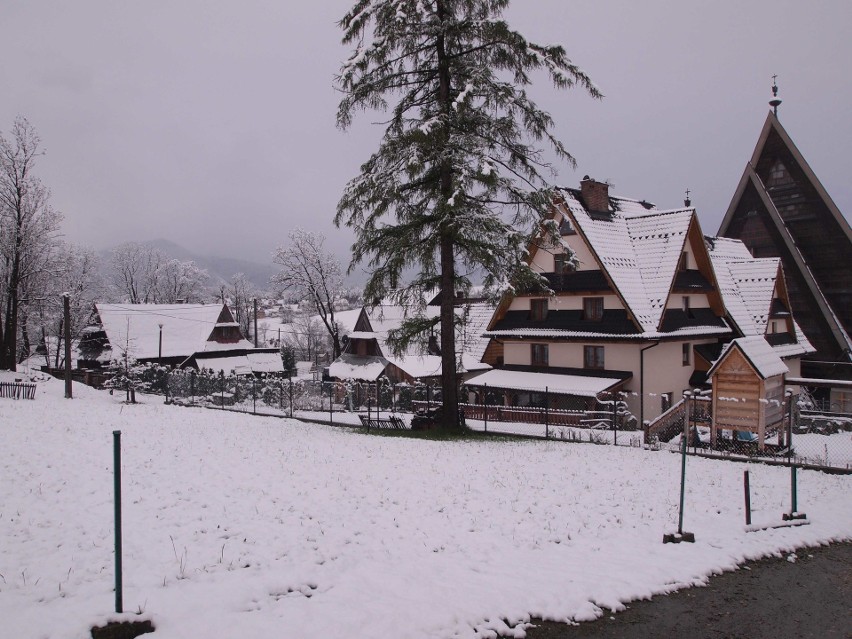 Zakopane pod śniegiem. W mieście spadło kilka centymetrów śniegu [ZDJĘCIA]