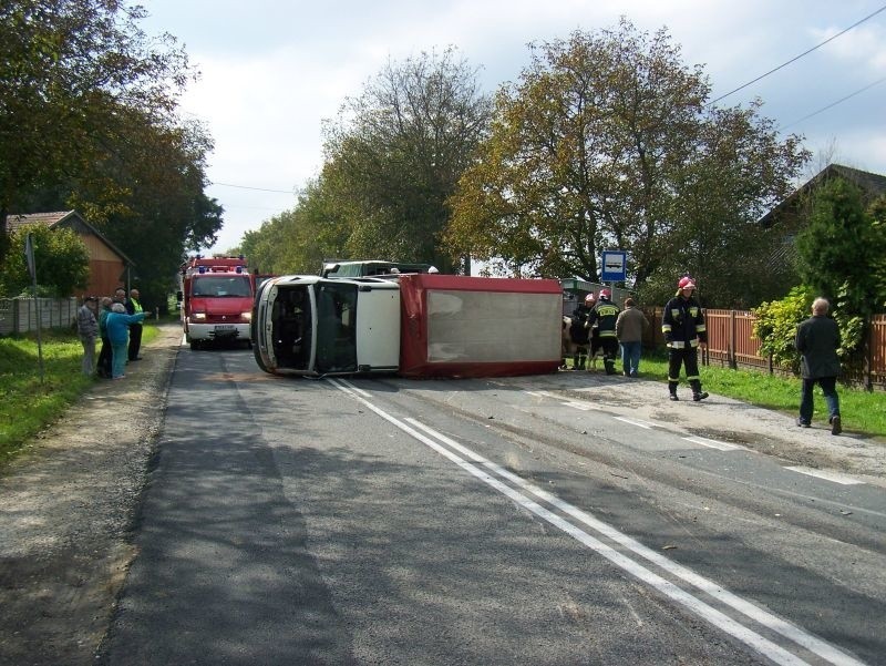 Wypadek w gminie Opatowiec. Auto z cielakami na drodze  