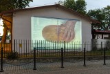 Zakończono projekcje filmu "Pieśń antropocenu" w Ustce. Wyświetlała je Bałtycka Galeria Sztuki Współczesnej