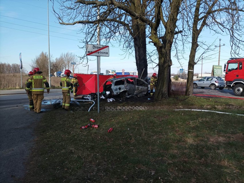 Kierowca uderzył w drzewo i spłonął w aucie ZDJĘCIA! Śmiertelny wypadek w Dąbrówce Wielkiej. ZDJĘCIA