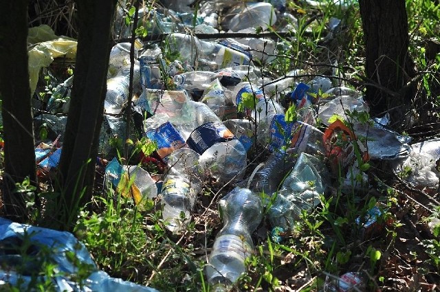 Odpady przy alejce prowadzącej do Parku Dzikowskiego w Tarnobrzegu.