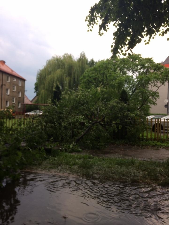Burze na Śląsku: w Zabrzu zalało ulice, powaliło drzewa, zerwało dachy i linie energetyczne ZDJĘCIA