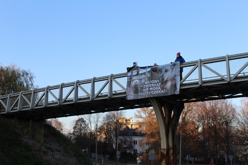 Na wiadukcie przy ul. Filaretów w Lublinie pojawił się baner. Ma przypominać o „piątce dla zwierząt”