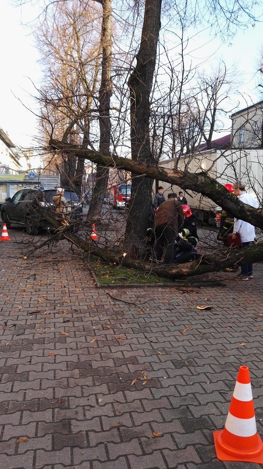 Chrzanów. Tir uderzył w kasztana. Drzewo runęło na przechodnia