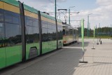 MPK Poznań: Prace na Górnym Tarasie Rataj. Zmiany w komunikacji Autobusy wróciły na stałe trasy. Łatwiej mają też kierowcy