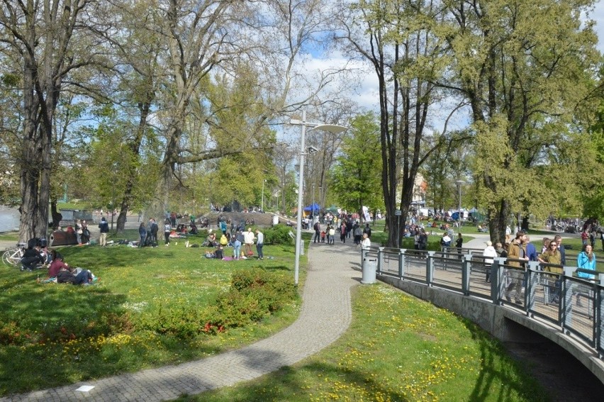 Majówka na Wyspie Słodowej potrwa do środy. Wstęp na...