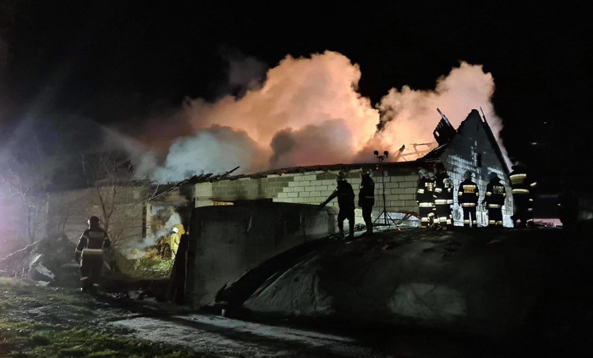 Pożar stodoło-obory w miejscowości Zaręby Świechy. Kilkanaście zastępów walczyło w nocy z ogniem [ZDJĘCIA]