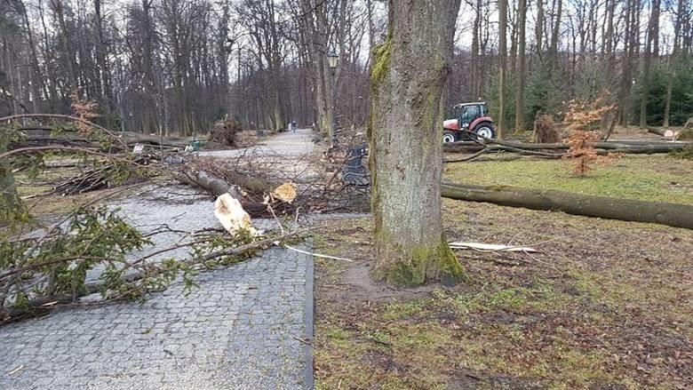 Skutki wichury w województwie śląskim - zerwane dachy, uszkodzone trakcje kolejowe, zniszczony cmentarz i stadion Ruchu Chorzów