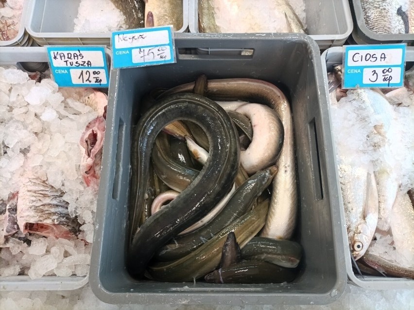 Ceny ryb na Mierzei Wiślanej. Ile zapłacimy za flądrę, dorsza czy turbota?