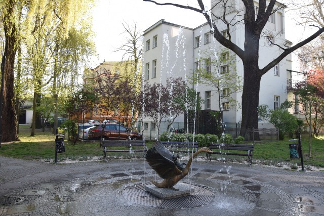 Plac Makusynów w Zielonej Górze - wiosna 2019