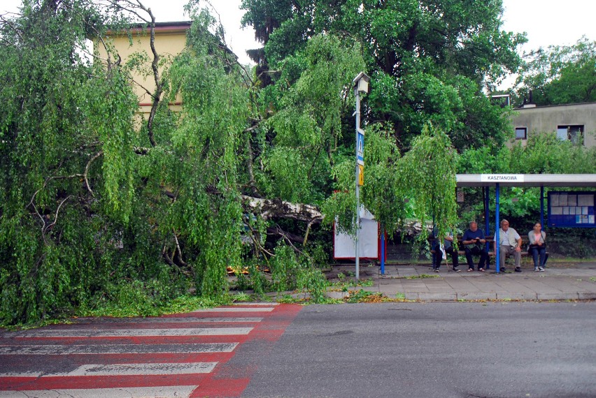 IMGW ostrzega przed silnymi wichurami w Małopolsce. Instytut...