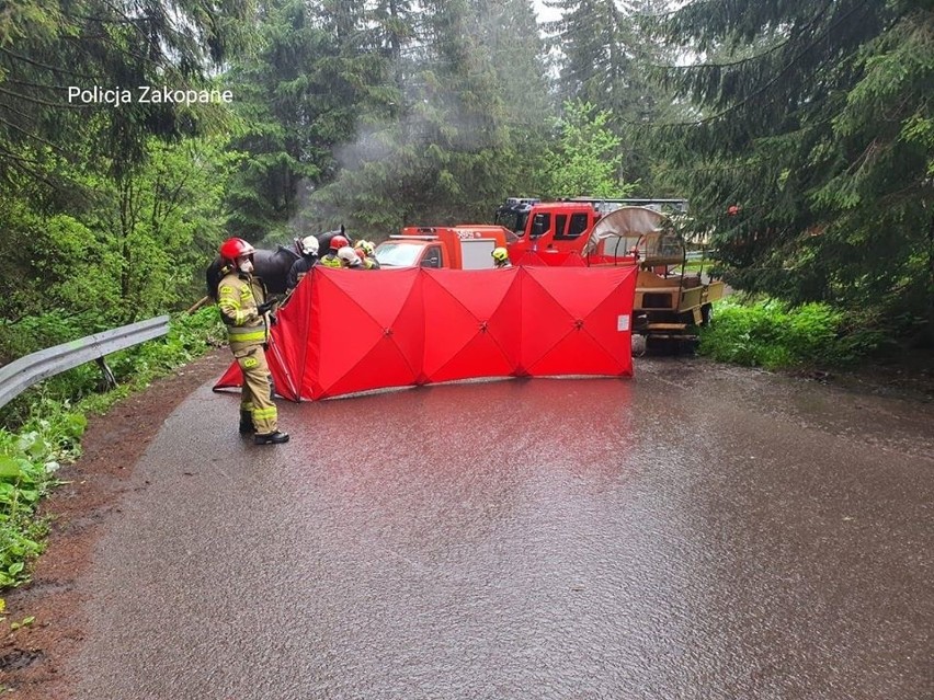 Tatry. Spłoszył się koń na szlaku do Morskiego Oka. Zwierzę poważnie ucierpiało. Nie uda się go uratować 