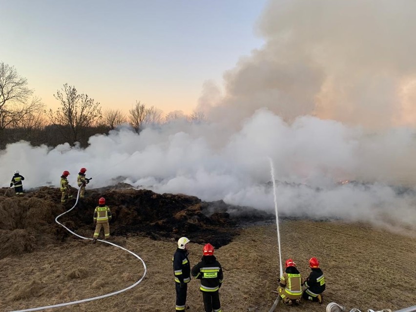 Marcinowo. Pożar bel siana. 21 strażaków przez kilka godzin walczyło z ogniem. Potrzebny był sprzęt ciężki [ZDJĘCIA] 