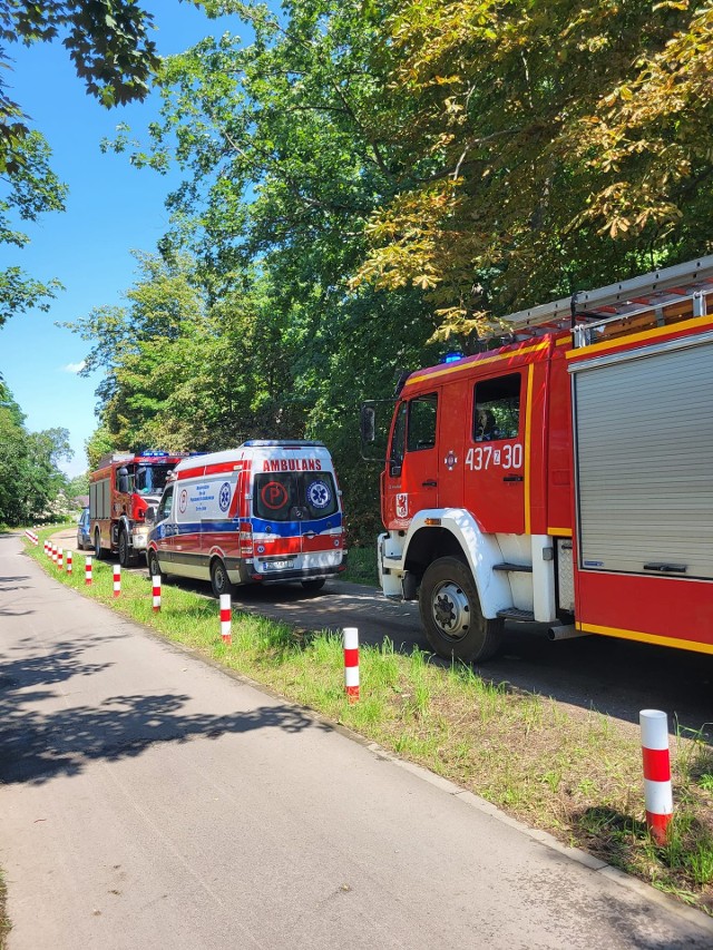 Na miejscu zdarzenia byli strażacy z OSP Wolin i OSP Skoszewo