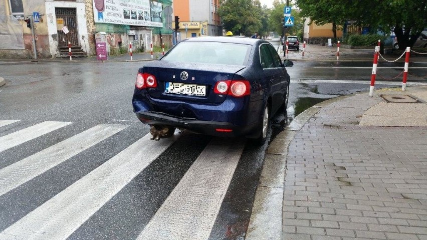 Audi zderzyło się z volkswagenem na Katowickiej.